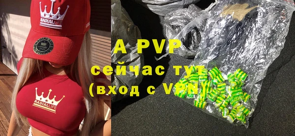 бошки Белокуриха