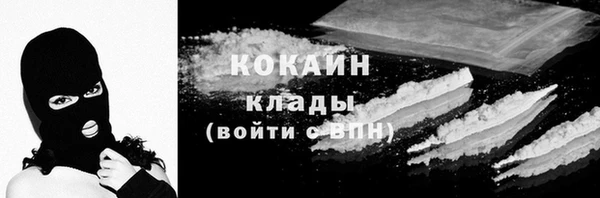 бошки Белокуриха