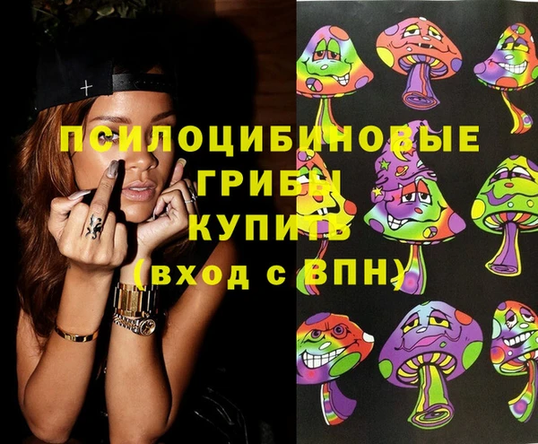 бошки Белокуриха