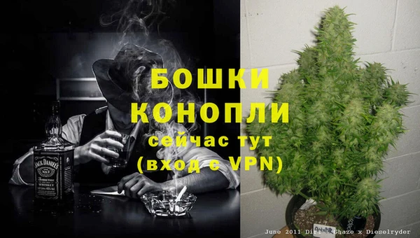 бошки Белокуриха