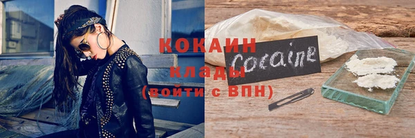 бошки Белокуриха